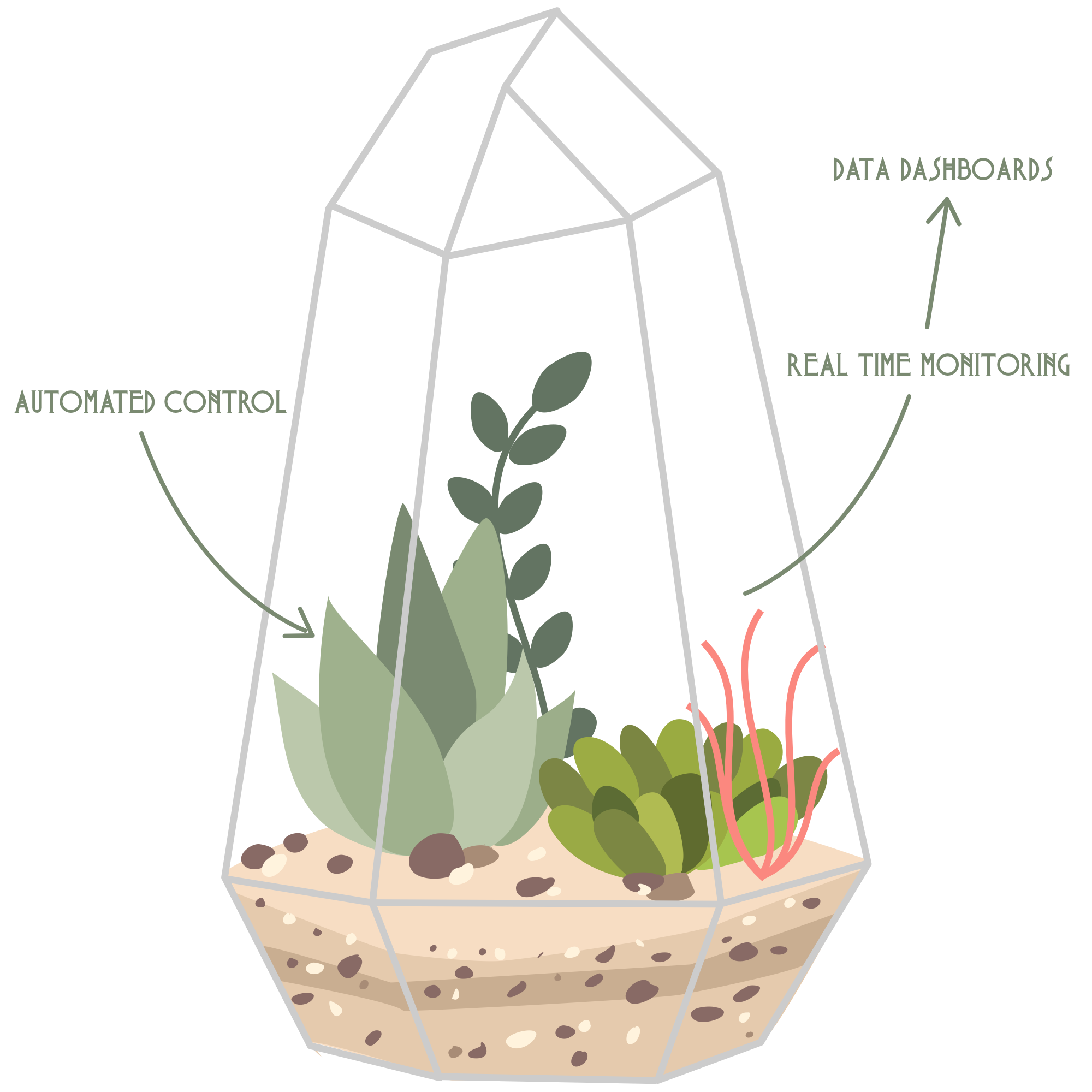 smart terrarium